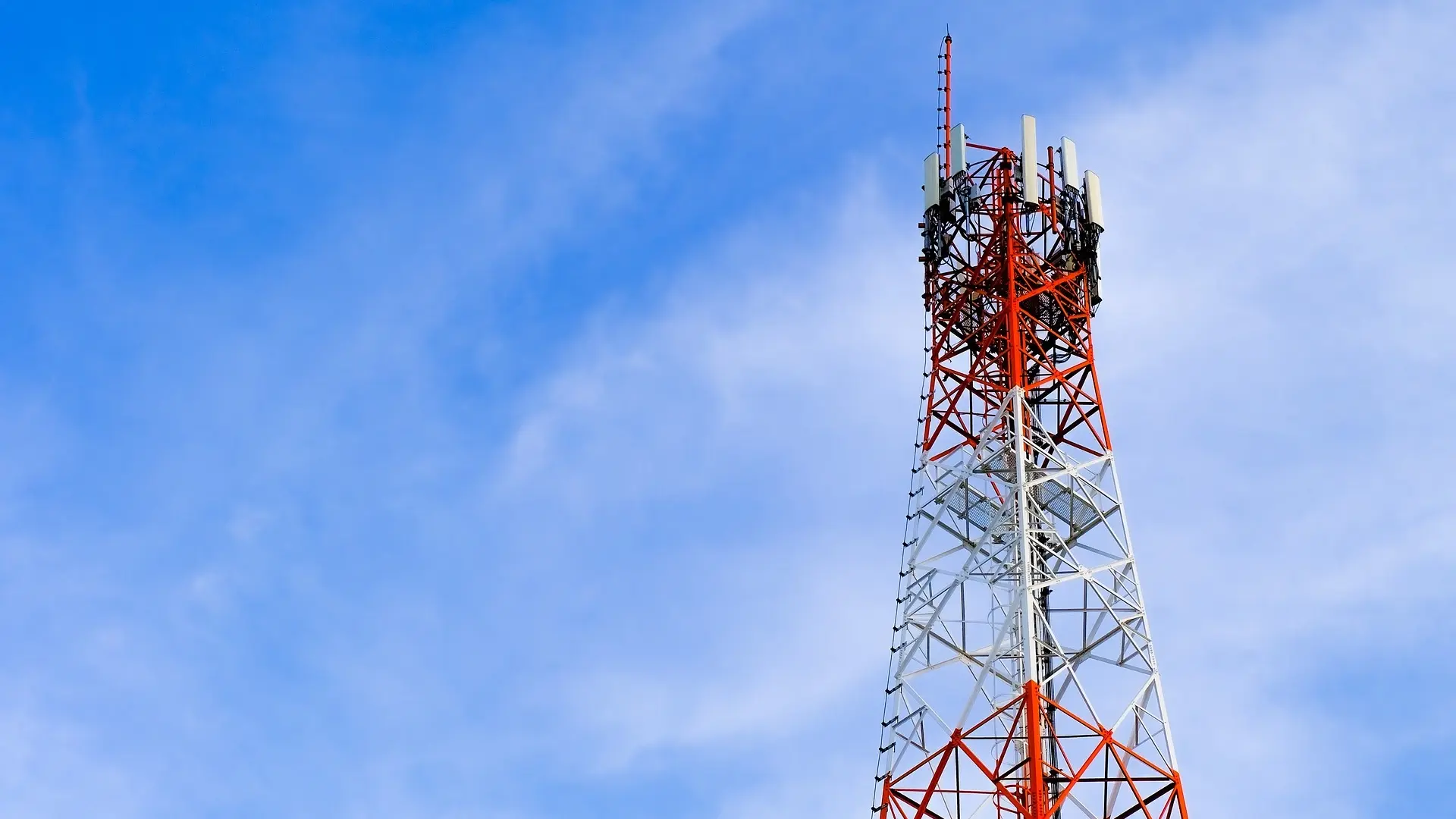 Globaler Carrier